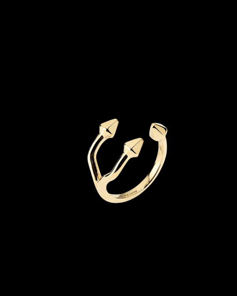 Legacy Ring I _ METAL X WIRE designs